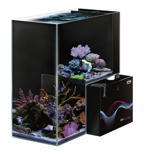 DYMAX IQ SERIES ACRYLIC AQUARIUM