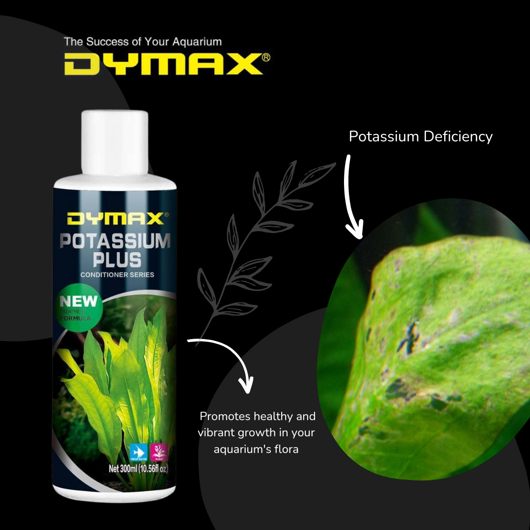 DYMAX Plant Additives