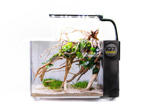 DYMAX IQ SERIES ACRYLIC AQUARIUM