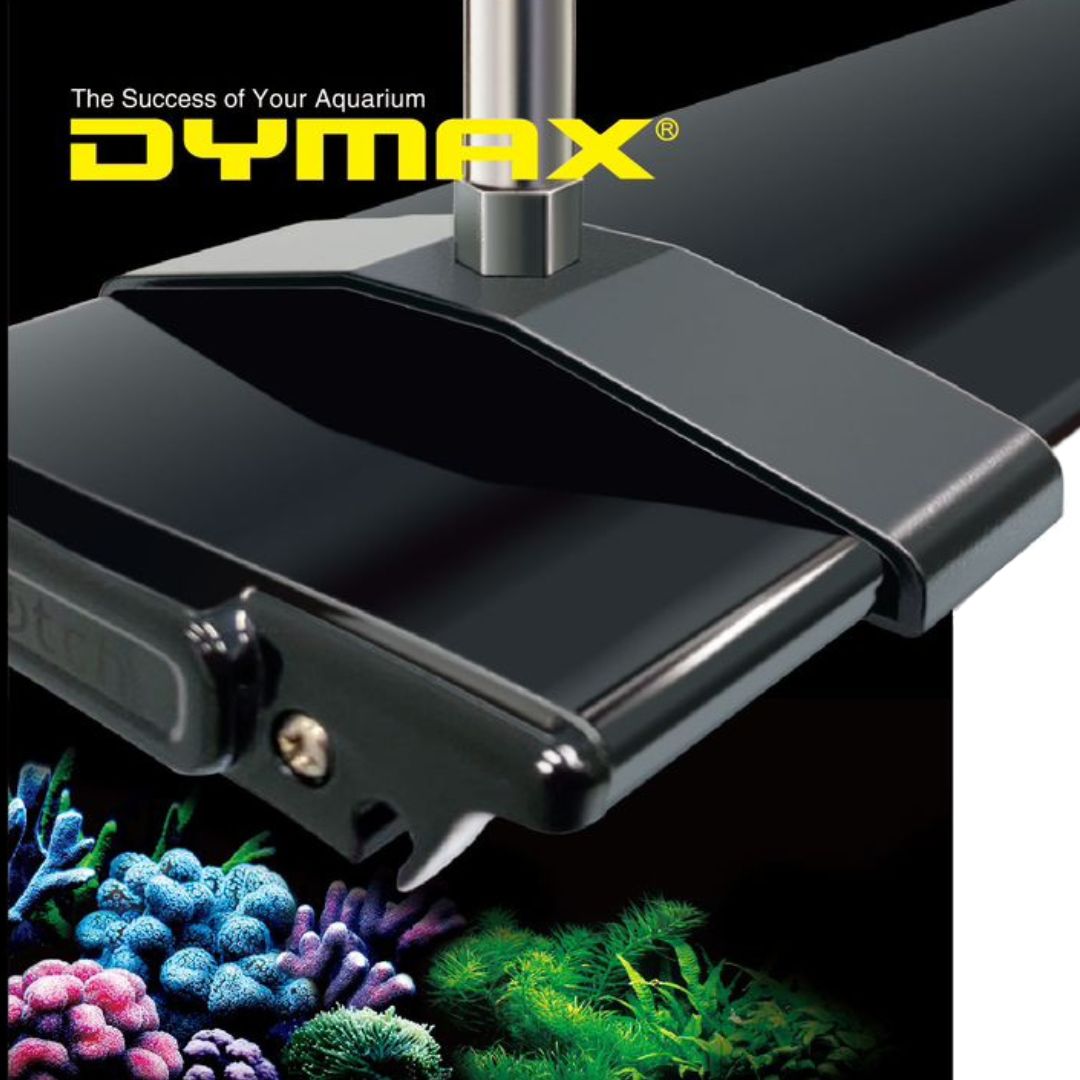 DYMAX Rex Light Hanging Kit
