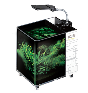 Dymax aquarium hotsell