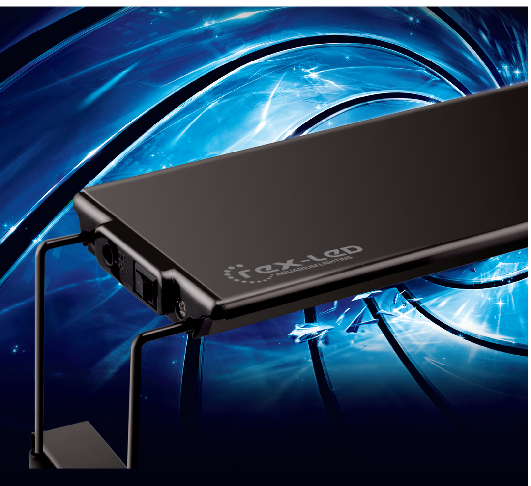 DYMAX REX-LED LIGHTING: GLOSSY BLACK CASING - DC TYPE – DYMAX SINGAPORE
