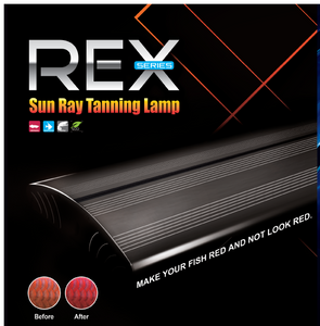 DYMAX REX SUN RAY TANNING LAMP: (ELECTRONIC BALLAST)